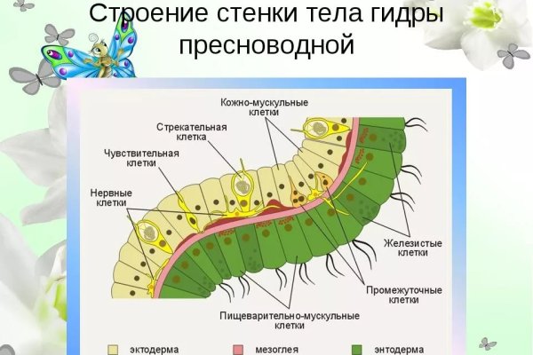 Кракен вход ссылка