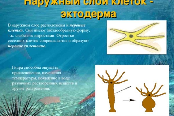 Официальный сайт kraken ссылки зеркала