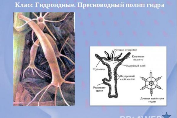 Кракен зеркало ссылка онлайн